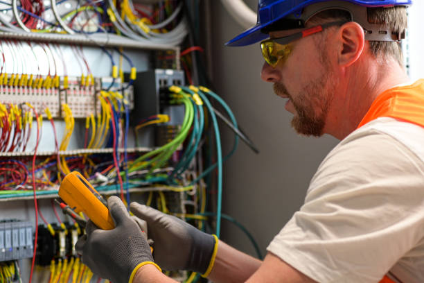Best Electric Panel Repair  in Ville Ptte, LA
